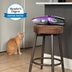 I Can't Clean My Home Without the Bissell Pet Hair Eraserâ€”the Handheld Vacuum Every Pet Parent Needs