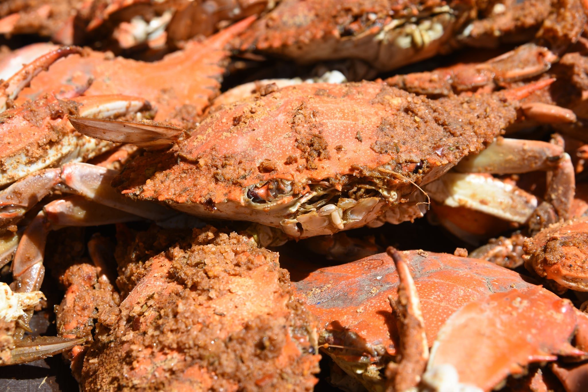 Cantlers Riverside Inn Via Facebook