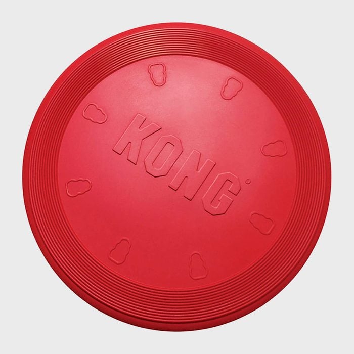 Kong Flyer Dog Frisbee Ecomm Via Amazon