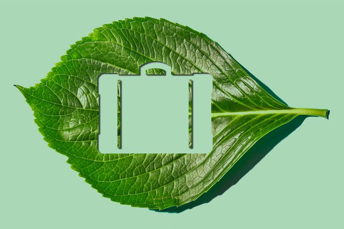 suitcase silhouette cut out from a leaf on green background