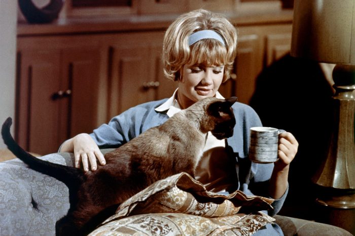 On the set of That Darn Cat!