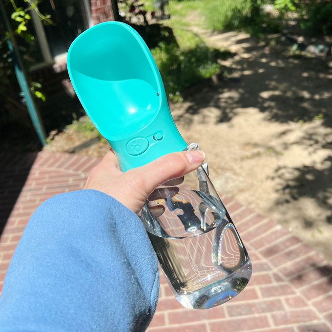 Malsipree Hand Amyshojai