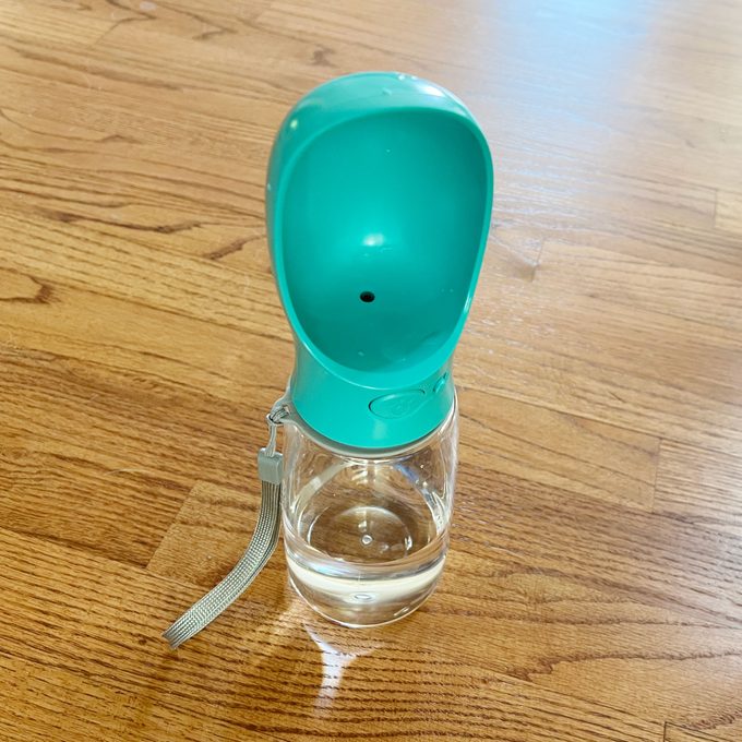 Malsipree Isolate Amyshojai3 Sq