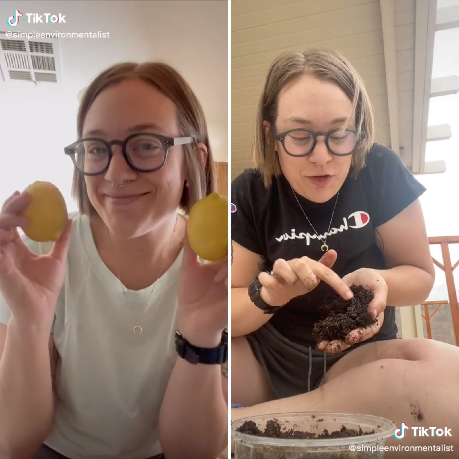 Rd Activists Thesimpleenvironmentalist Tiktok