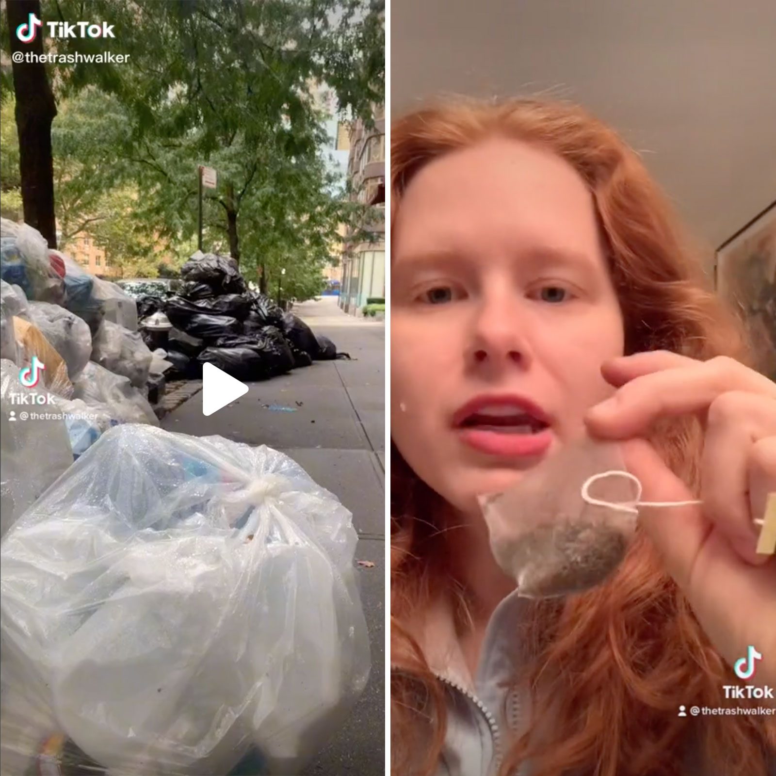 Rd Activists Thetrashwalker Tiktok