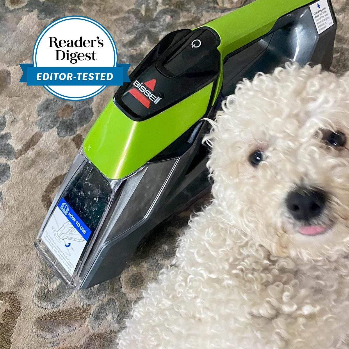 Bissell Pet Stain Eraser Bryce Gruber