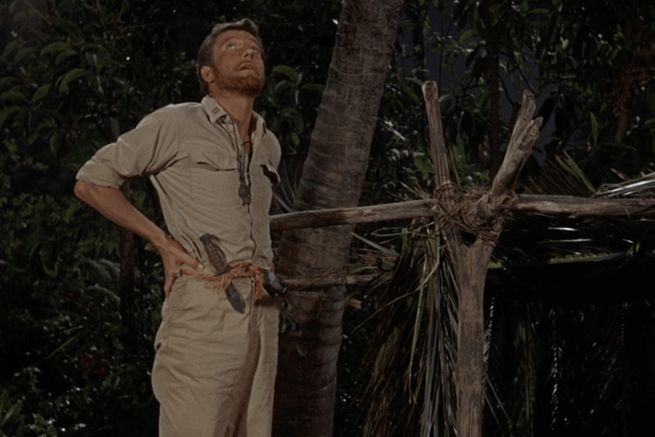 dick van dyke in Lt. Robin Crusoe, U.S.N
