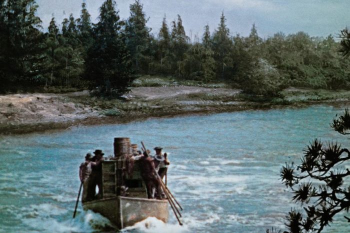 Screen Shot 2022 07 29 At 9.24.43 Am