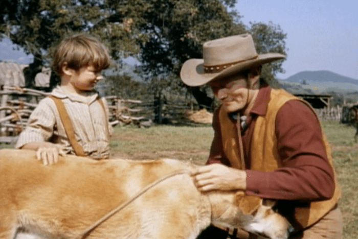 Screen Shot 2022 07 29 At 9.30.36 Am