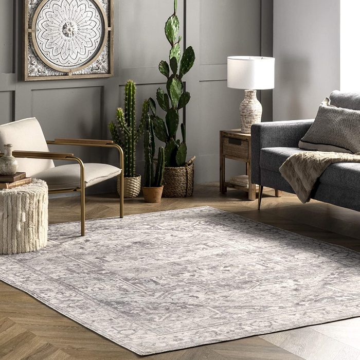 Nuloom Brielle Machine Washable Vintage Area Rug Ecomm Via Homedepot.com