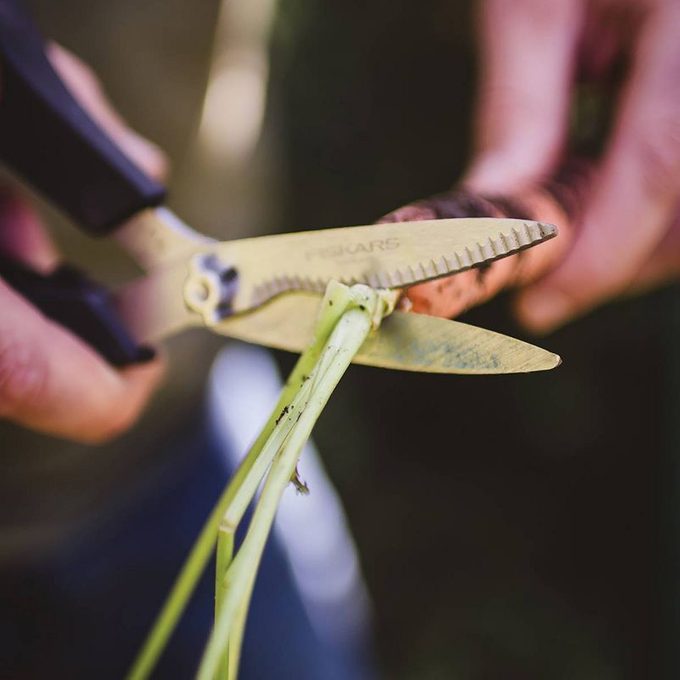 Vegetable Shears Ecomm Via Target