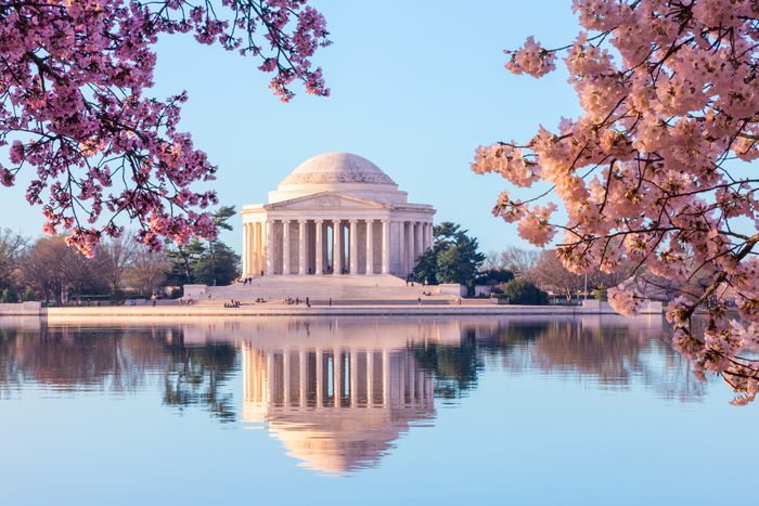 Sun rising illuminates the Jefferson Memorial and Tidal Basin with bright pink cherry blossoms framing the monument
