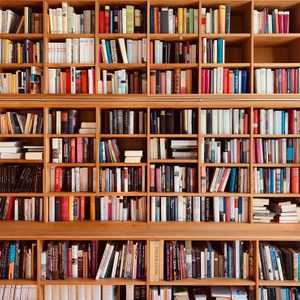 Wooden brown books shelves packed with books