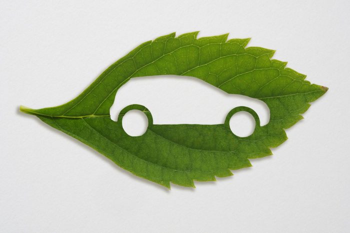 green leaf with a cut out car symbol
