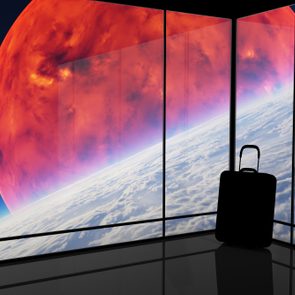 silhouette of a suitcase is a corner with large windows. outside the windows is a view of plants in outer space.