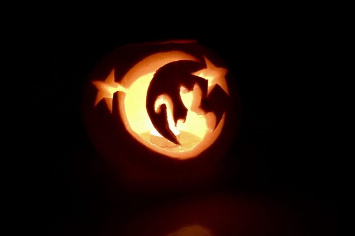 Cat themed pumpkin jack o'lantern glowing