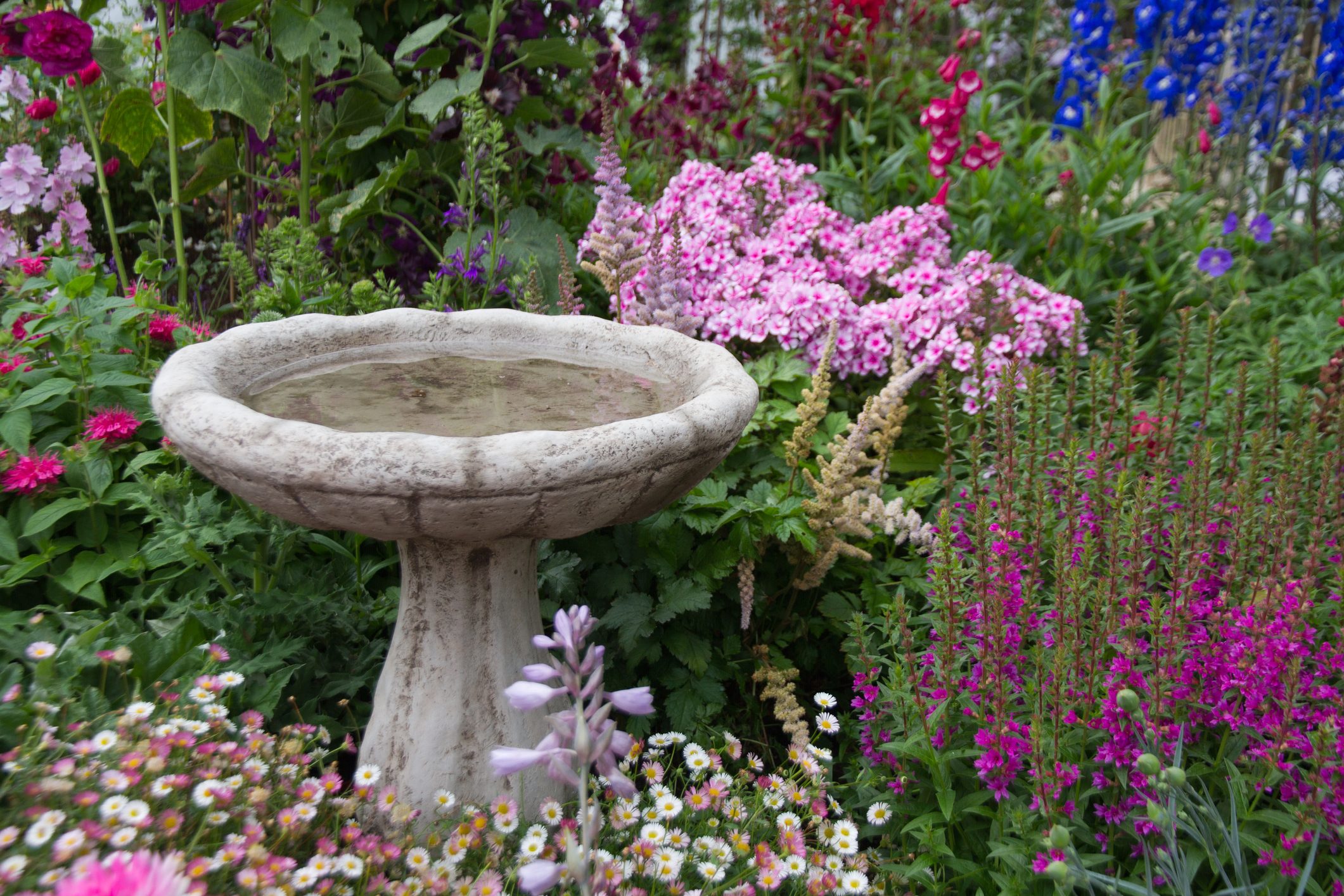 Birdbath surrounded by flowers