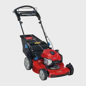 Toro Recycler Gas Lawn Mower