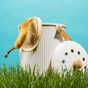 Composting Us2207 Xx Ks 04 21 1113 Sq