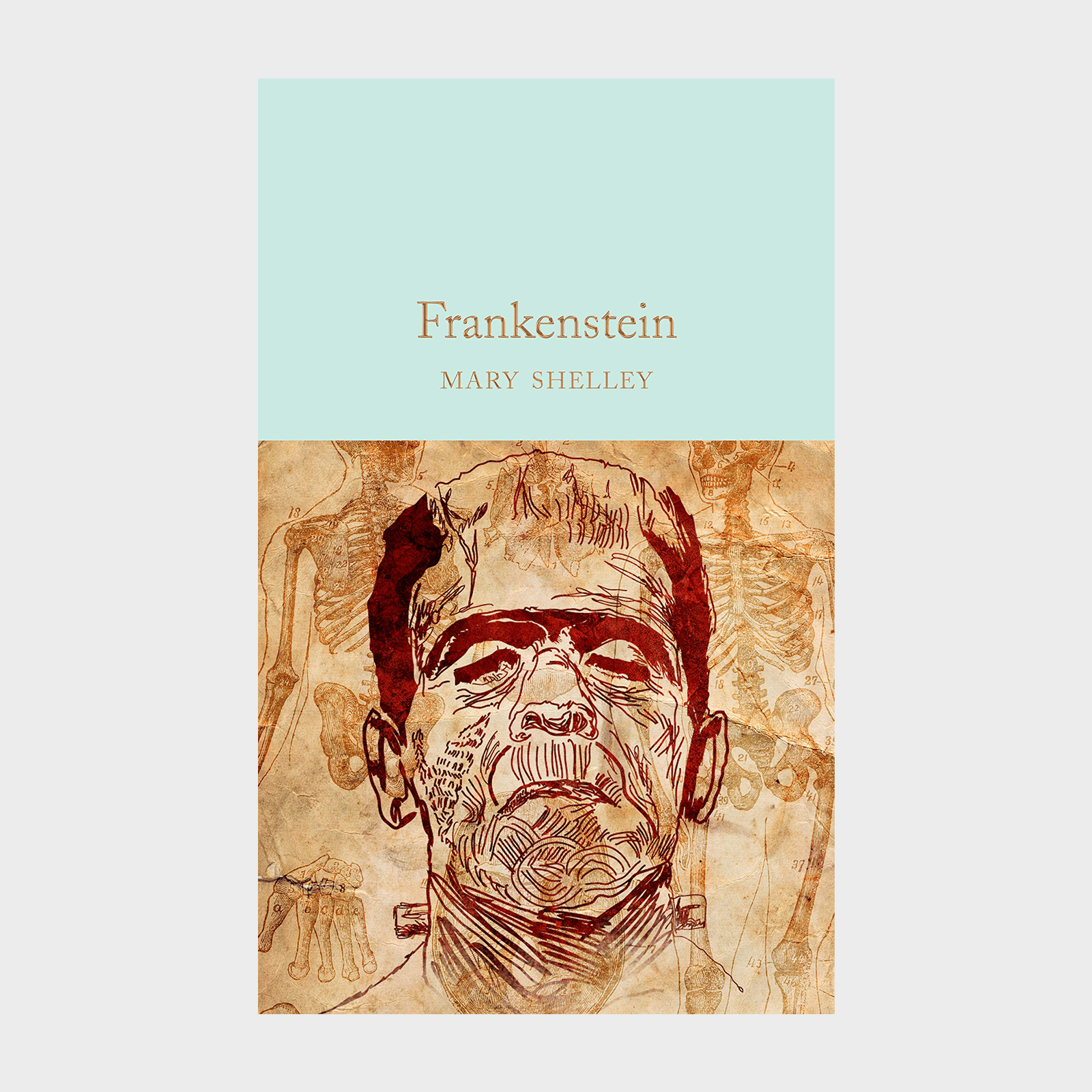 Frankenstein Shelley Ecomm Via Amazon.com