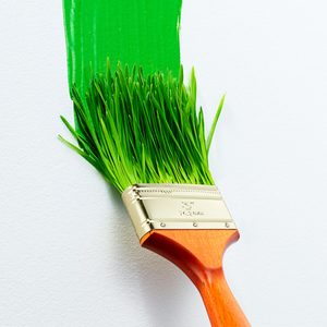 Greenwashing Gettyimages 82689992