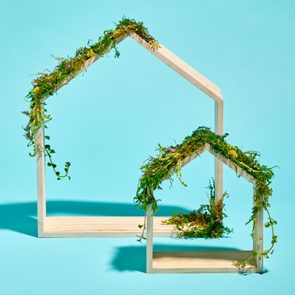 two wooden frames in the shape of houses on blue background. the house have moss and grass on them to symbolize sustainability and sustainable living