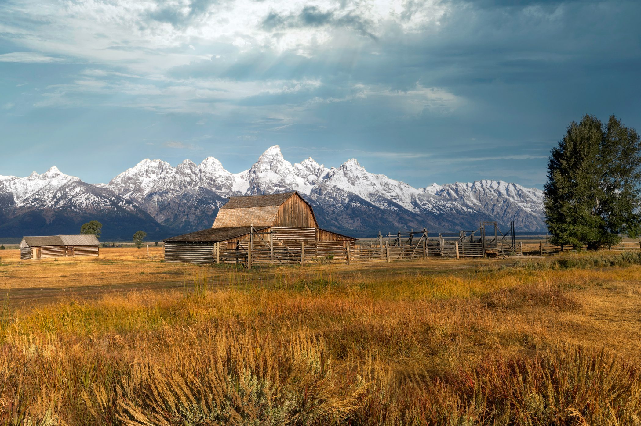 Gorgeous evening light at Mormon Row