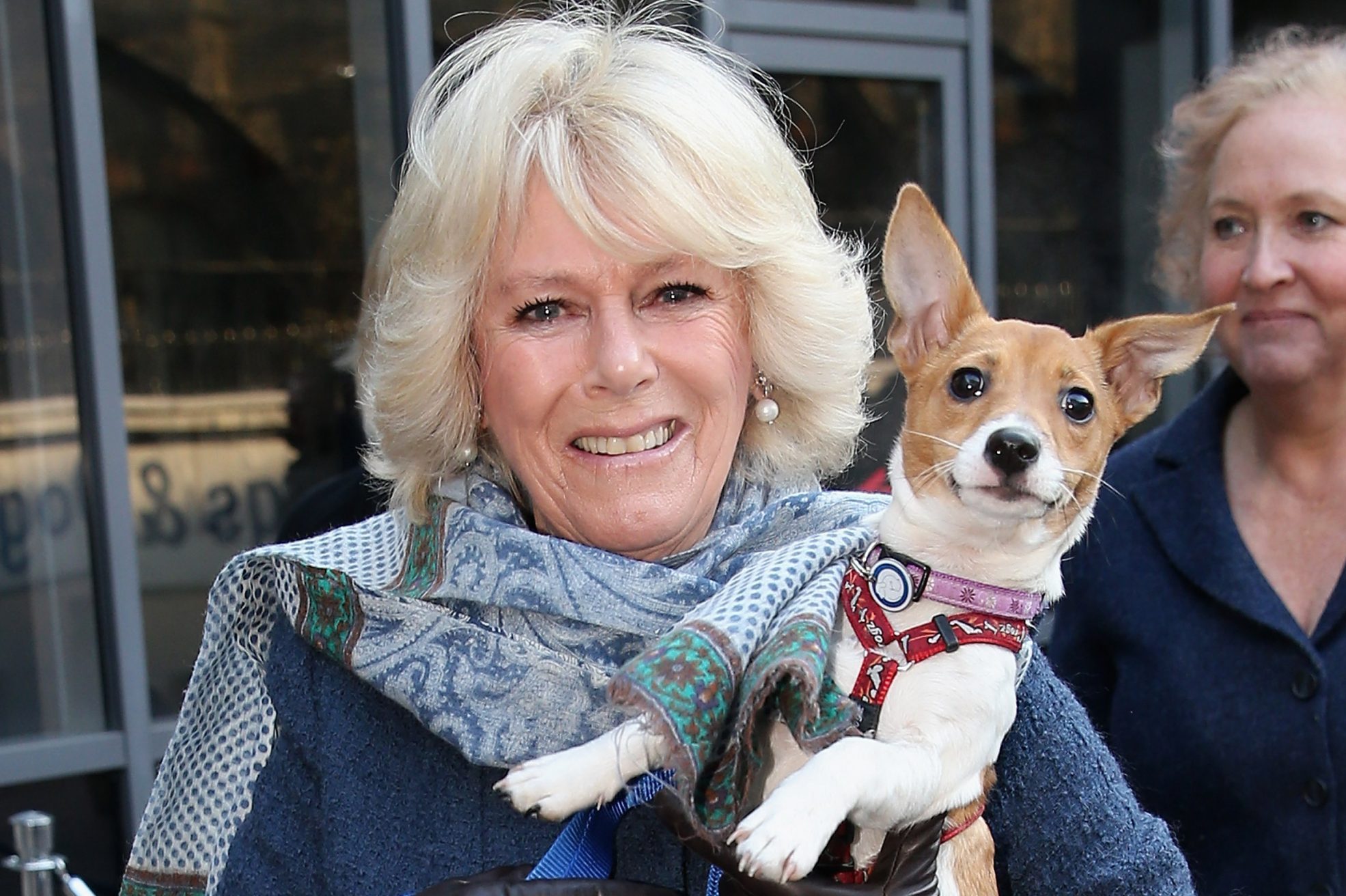 The Duchess Of Cornwall Visits Battersea Cats And Dogs Home