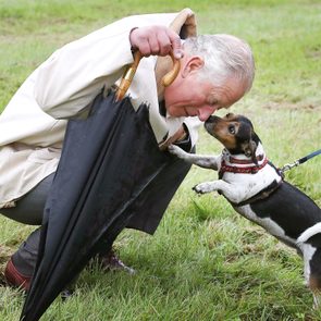 King Charles And his Dog