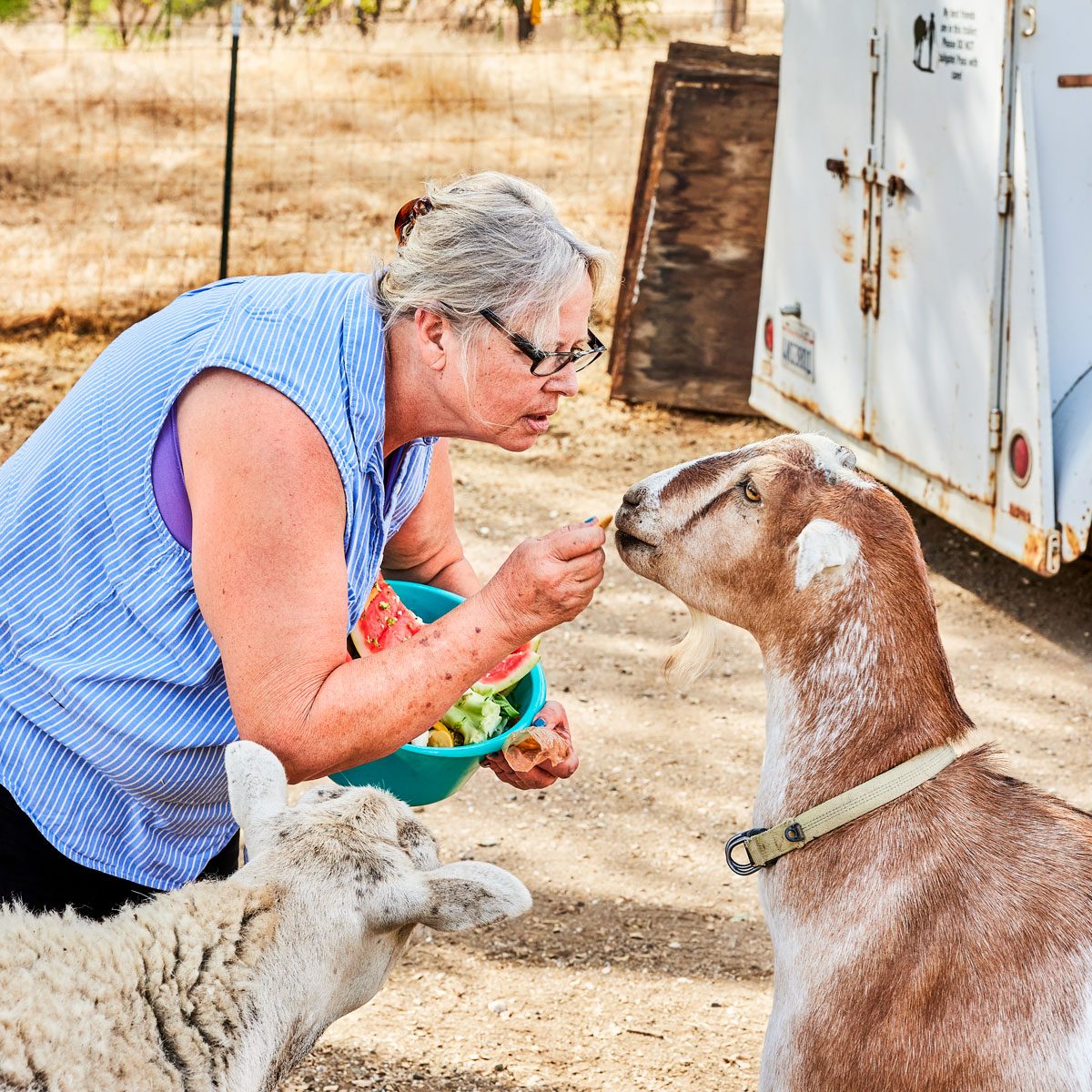 Nicest Places Coulterville California Us2210 01 Cheyenneellis12