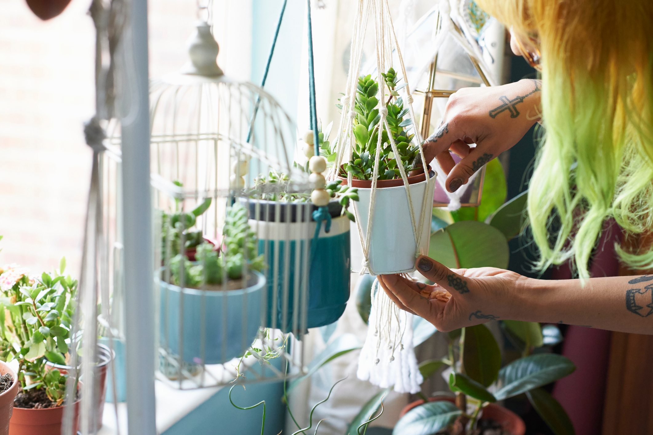 Young hipster woman tending to her succulent house plants