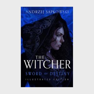 The Witcher Sword Of Destiny