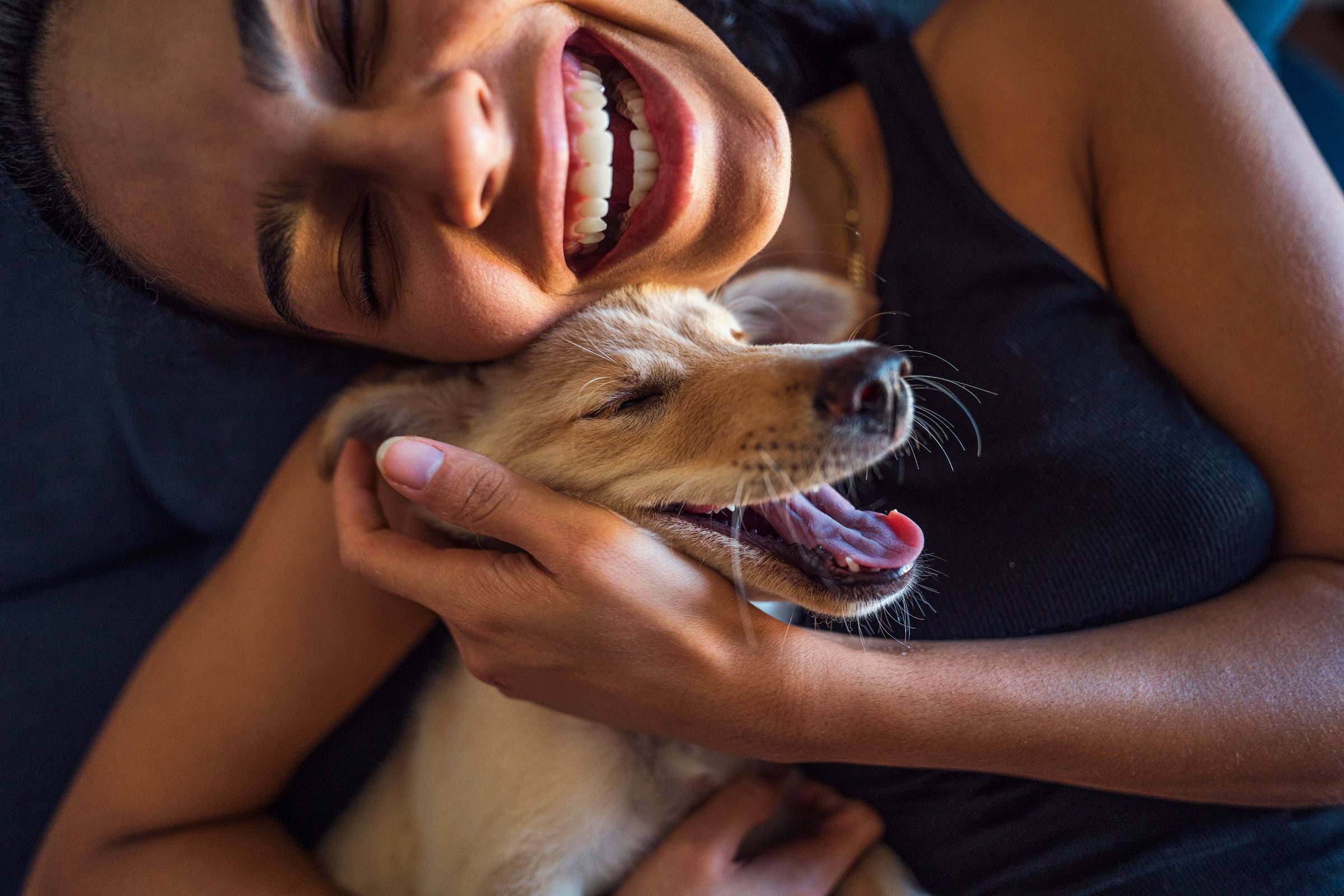 Dog Cuddles Help People Feel More Sociable and Less Stressed, Study Finds