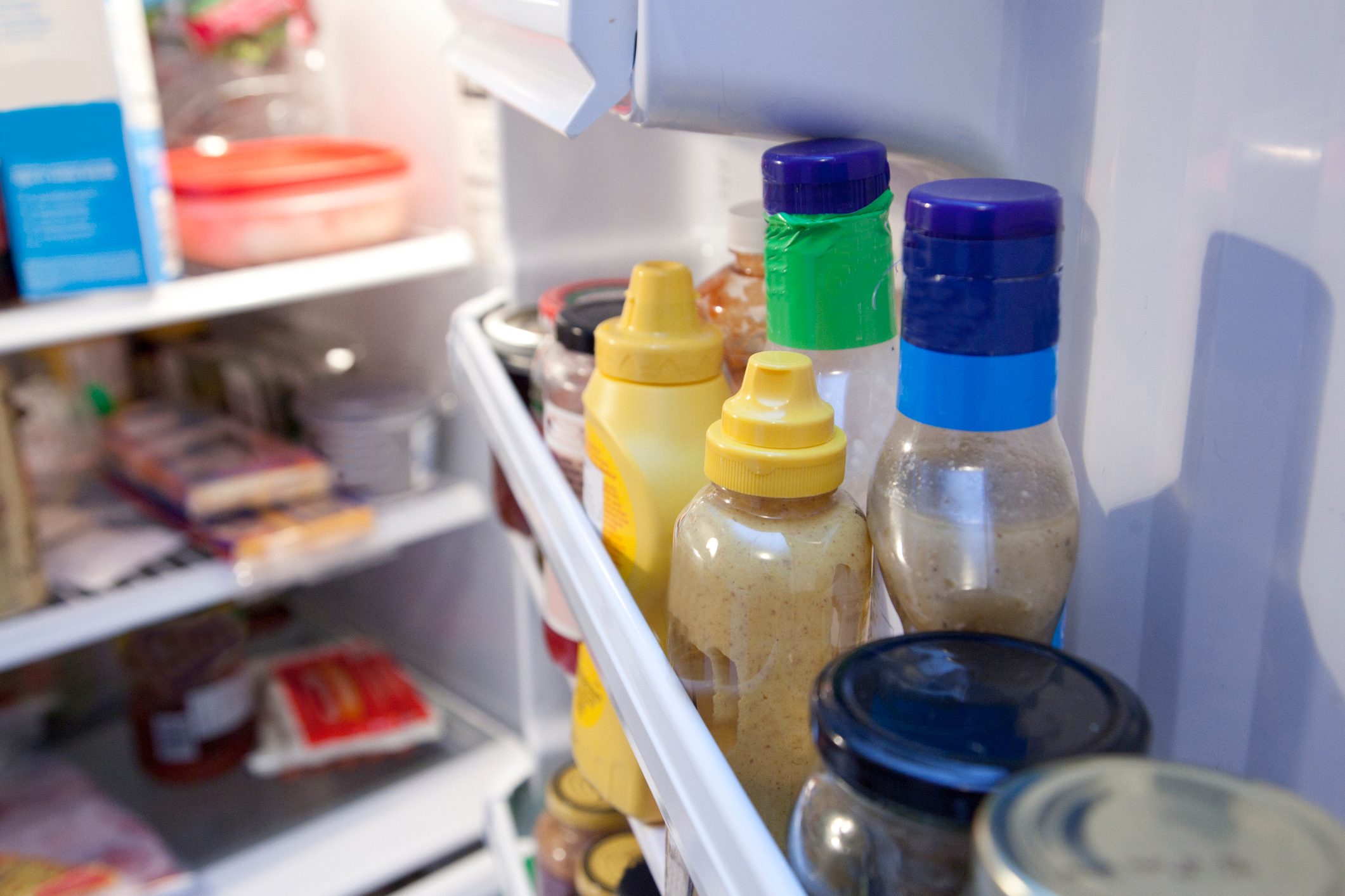 Interior fridge door
