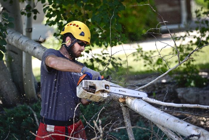 Daily Camera Archives