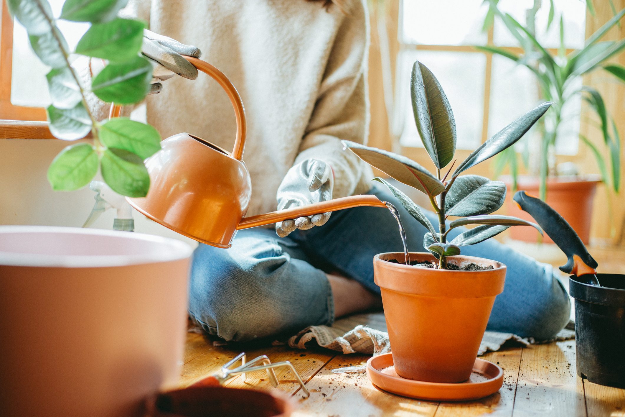 Young woman watering her plants.