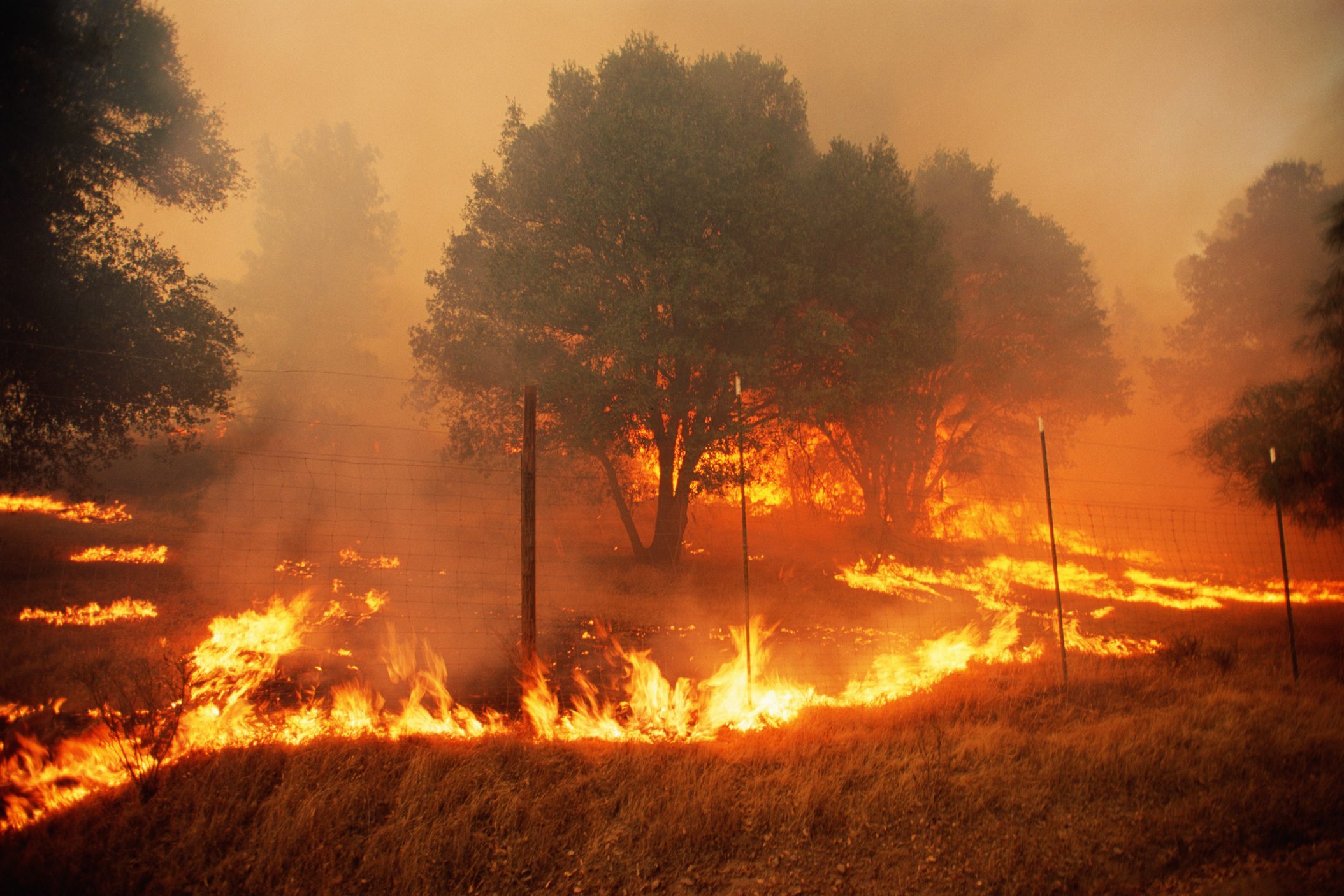 What Is a Wildfire, and How Do You Prepare for One?