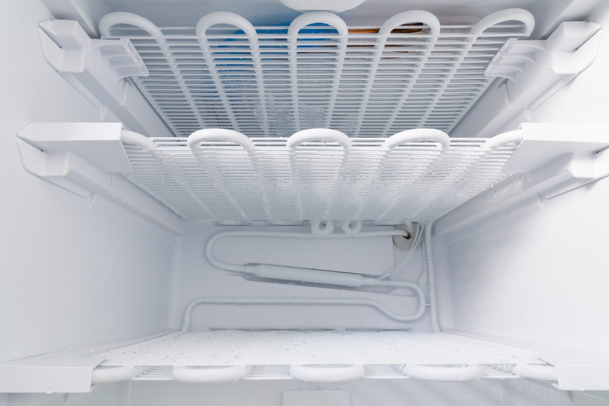 Freezer is defrosted to clean