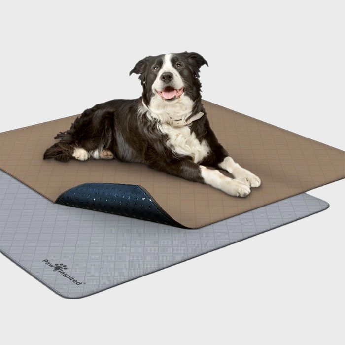 Paw Inspired Washable Dog Pee Pads