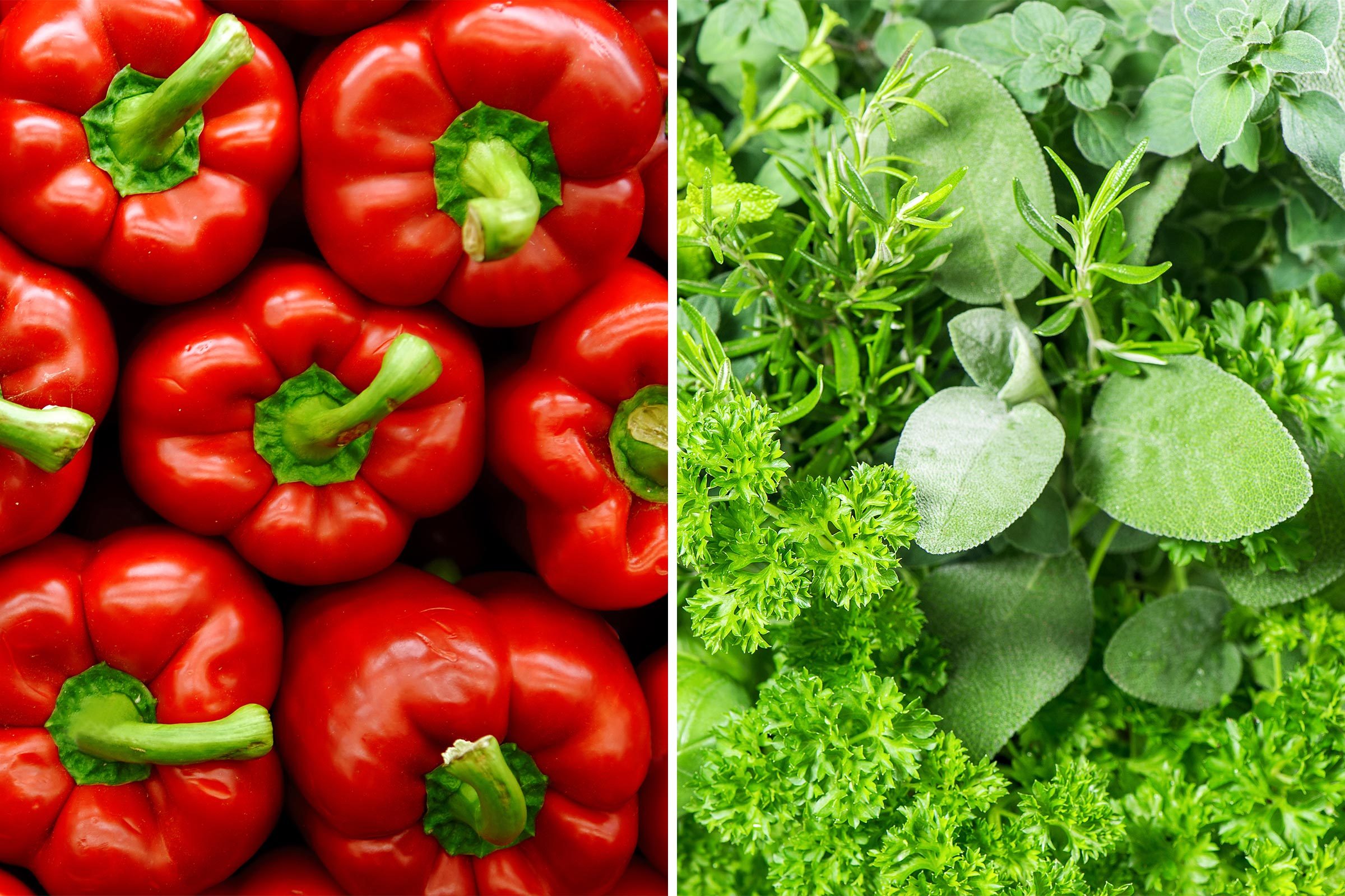 red bell peppers and fresh herbs
