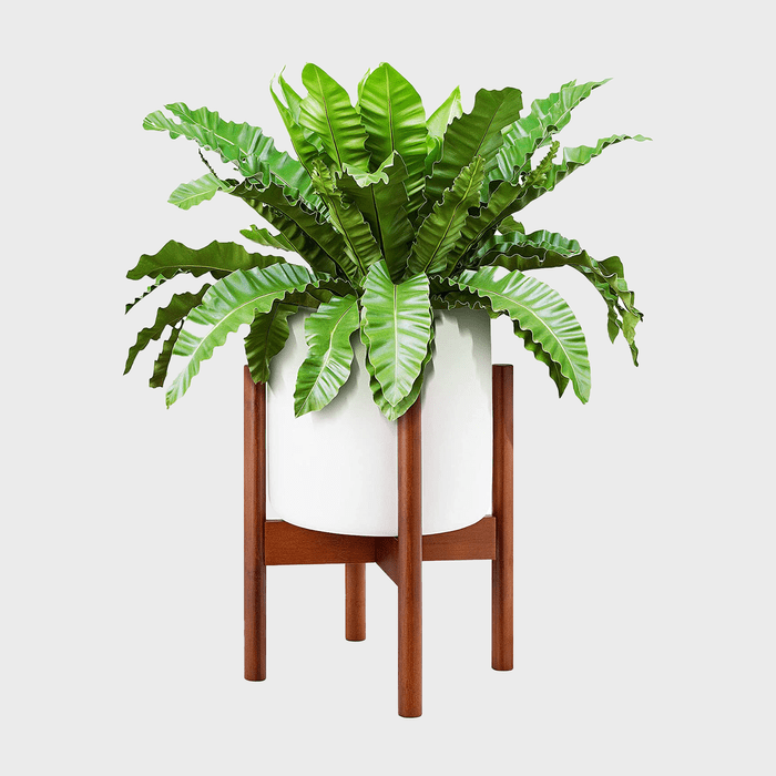 Mid Century Modern Large Planter Ecomm Via Amazon.com