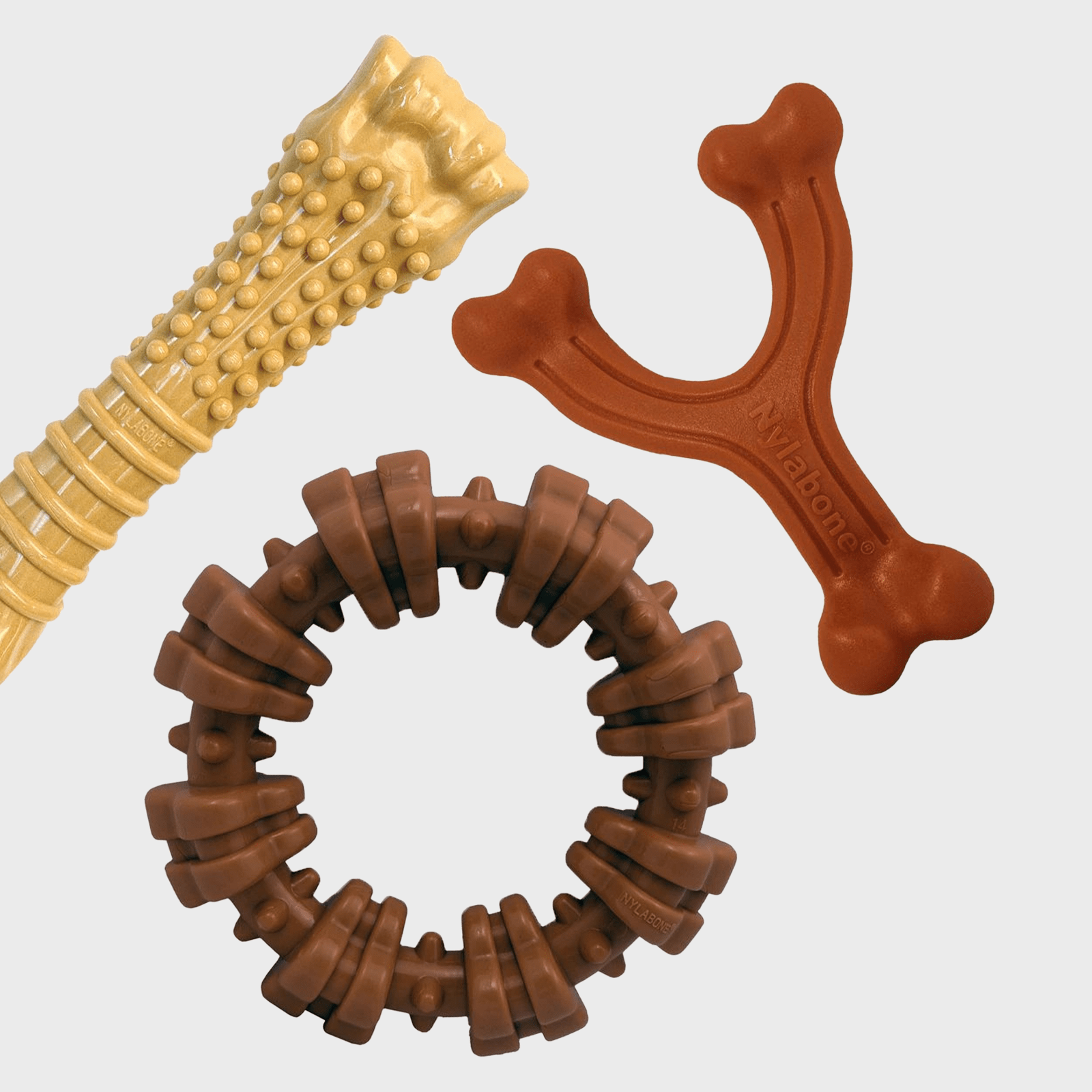 Nylabone Power Chew Customer Pack Ecomm Via Chewy.com