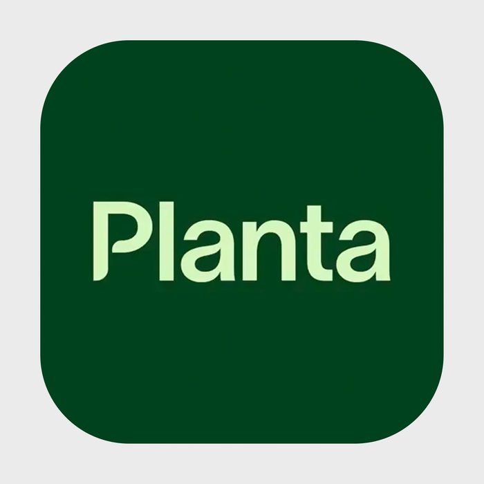 Planta