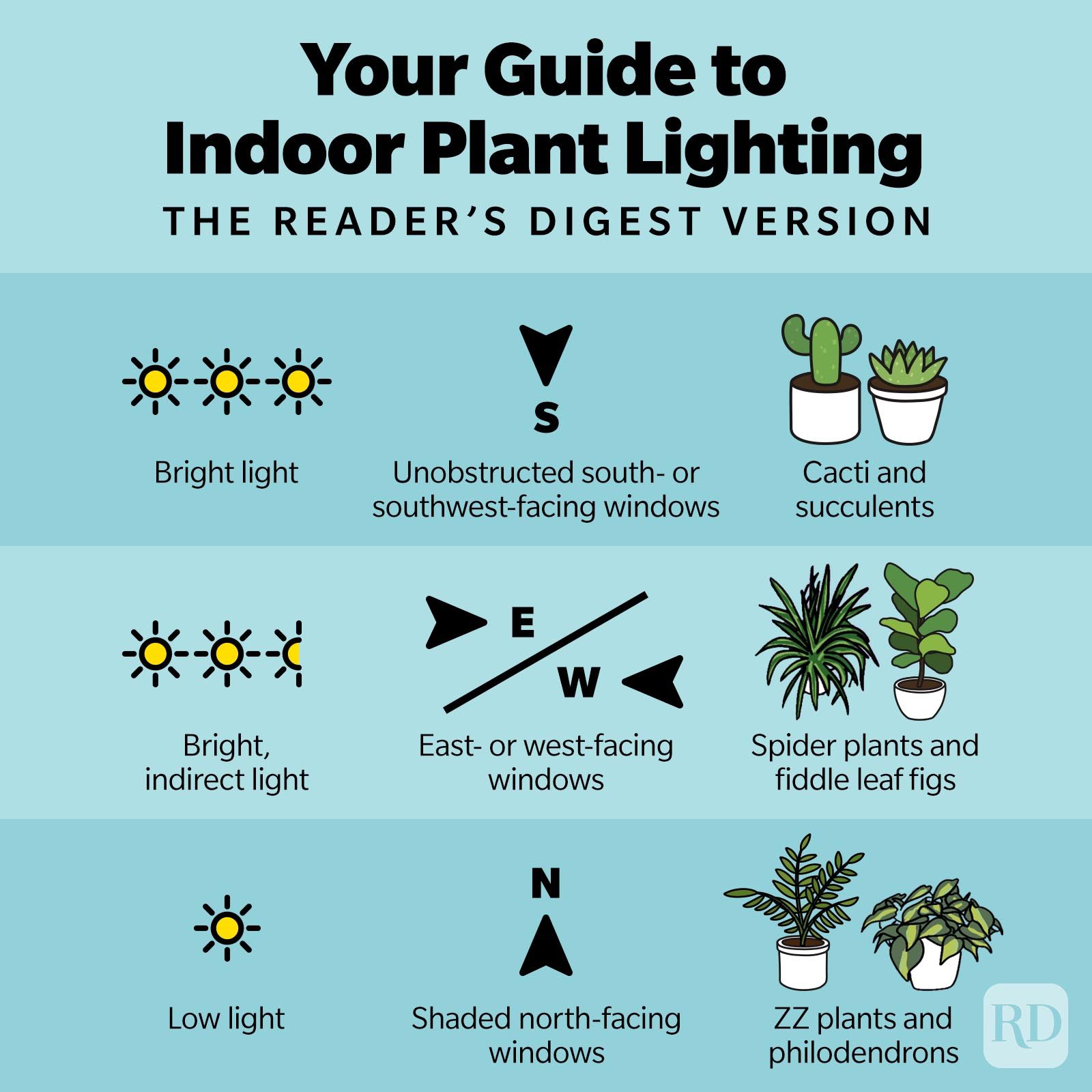 Indoor Plant Lighting Infographic