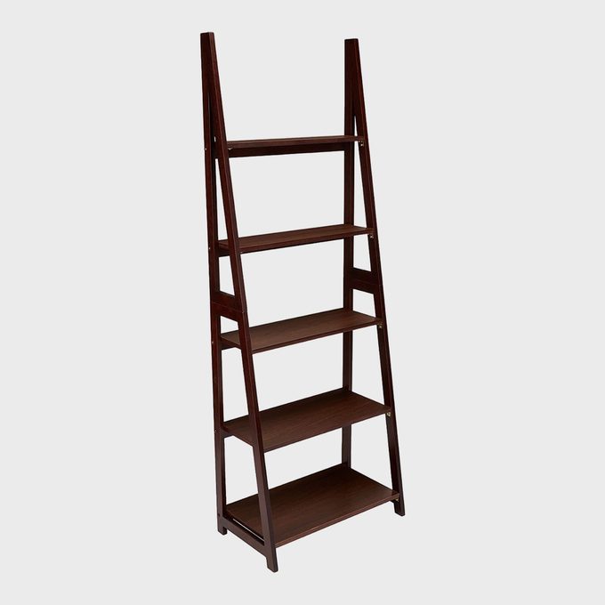 Ladder Bookshelf