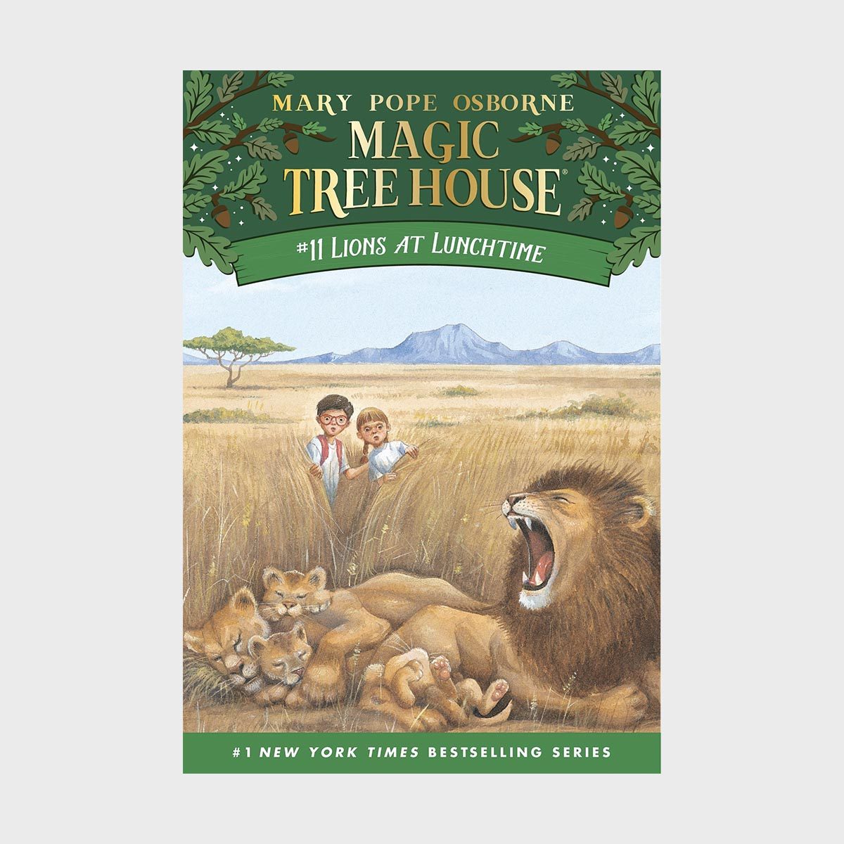 Magic Tree House 11