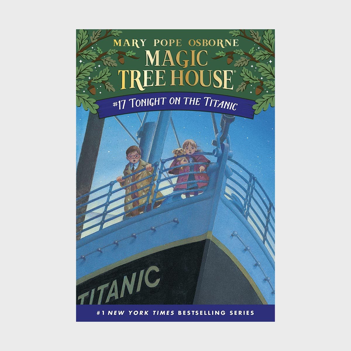 Magic Tree House 17