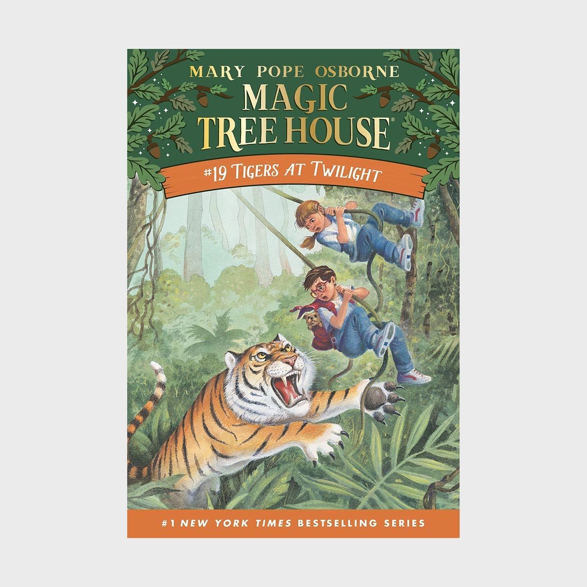 Magic Tree House 19