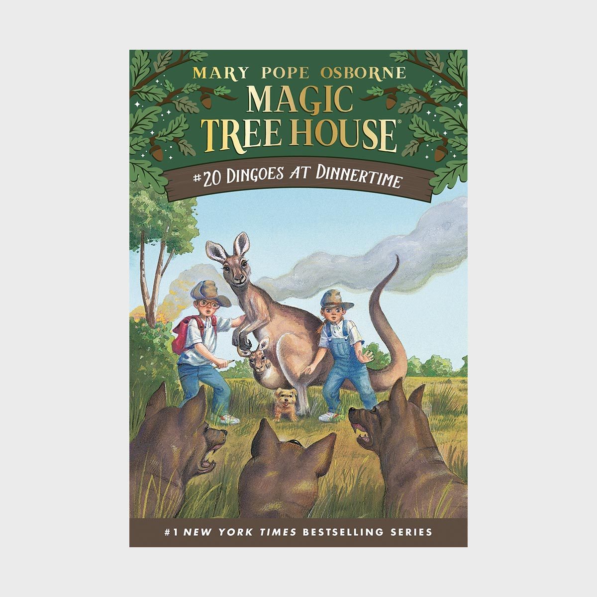 Magic Tree House 20