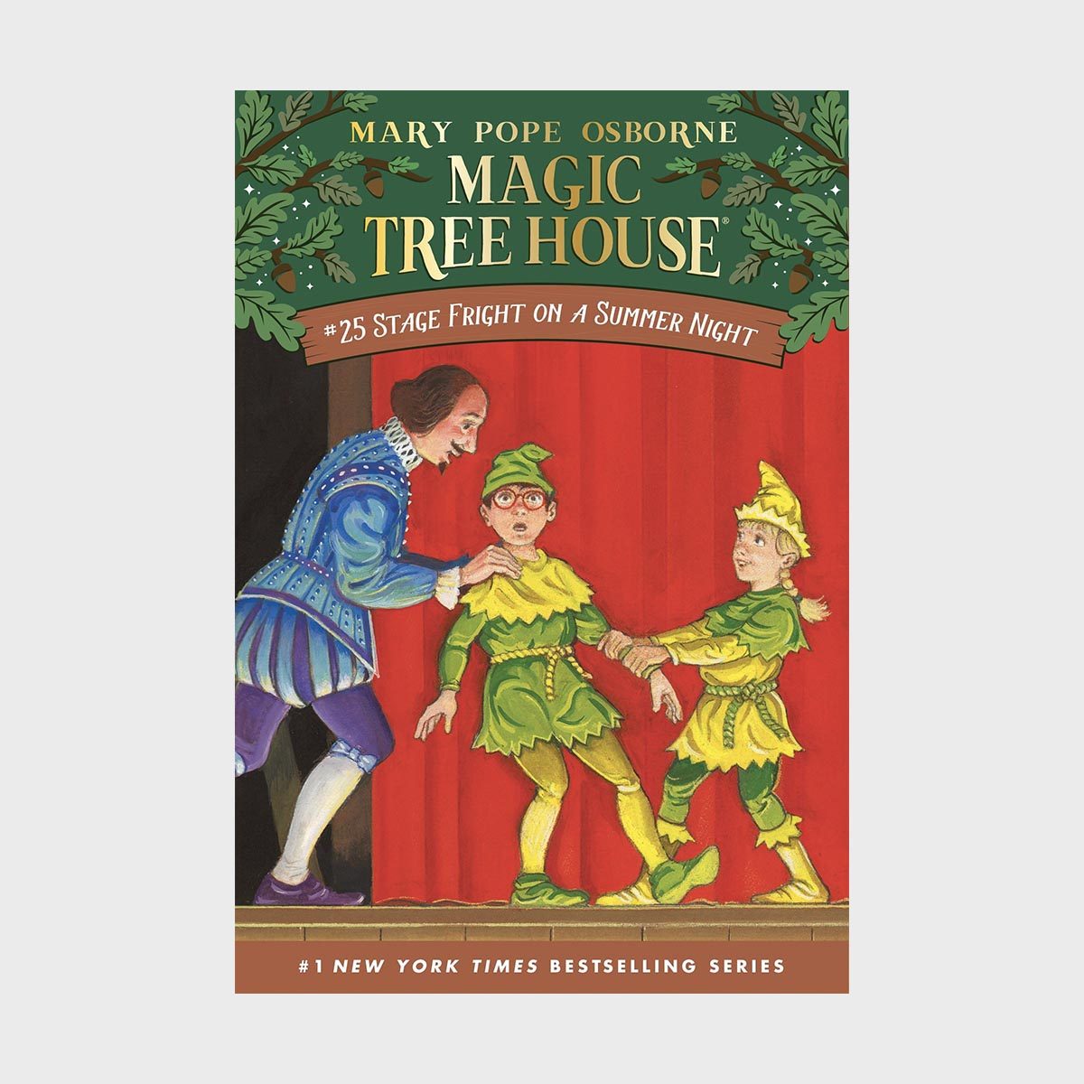 Magic Tree House 25